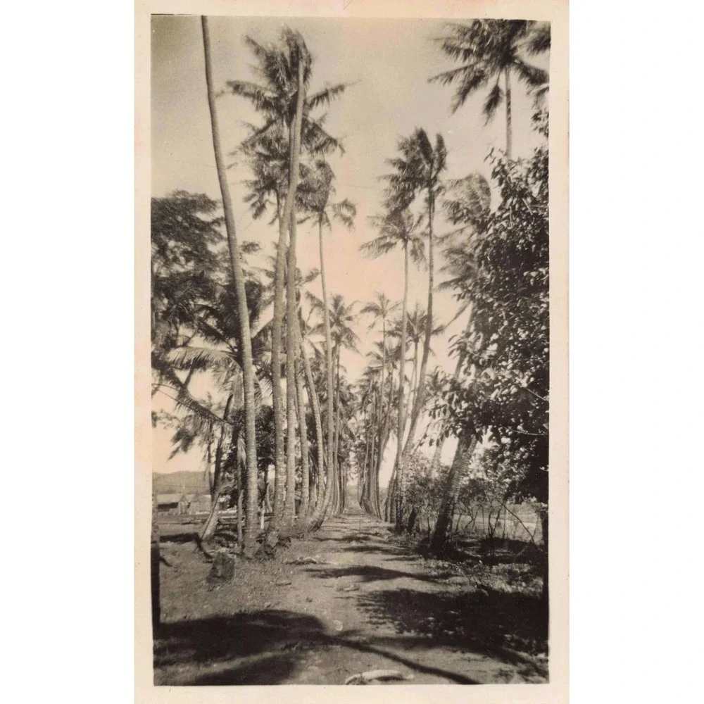 Set of 3 Vintage Seabees Sailor Photos‎ Manus Island WWII - Picture 2 of 7